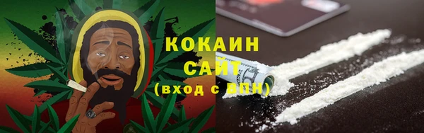 индика Лиски
