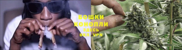 индика Лиски