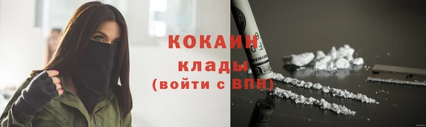индика Лиски