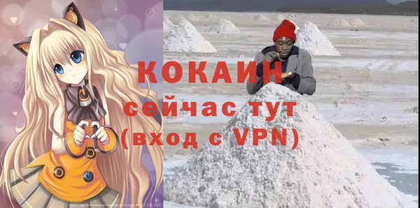 сатива Лабытнанги