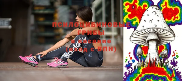 твердый Липки