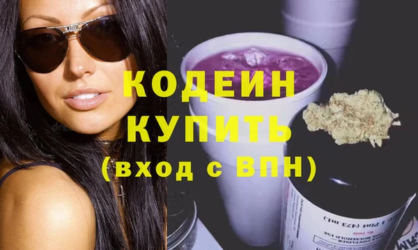 сатива Лабытнанги