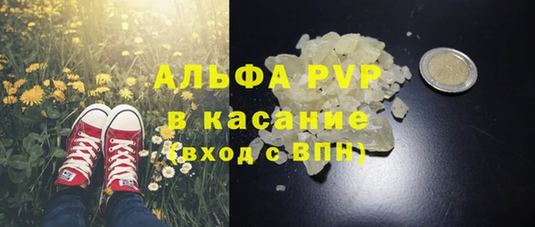 сатива Лабытнанги