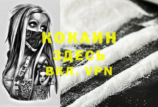 индика Лиски