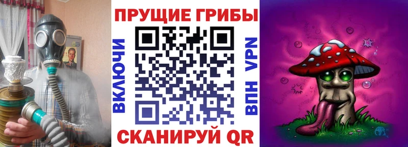 Галлюциногенные грибы Psilocybine cubensis  Бийск 