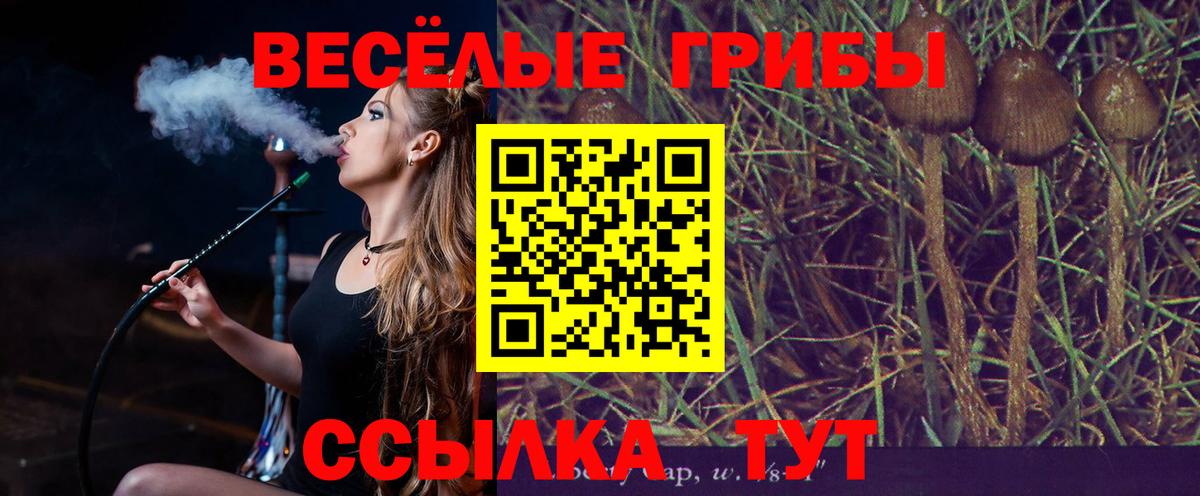 Псилоцибиновые грибы GOLDEN TEACHER Бийск