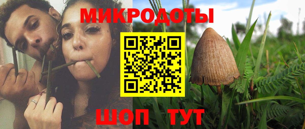 Галлюциногенные грибы Psilocybe  Псилоцибиновые грибы мицелий  Бийск  Вход с VPN 