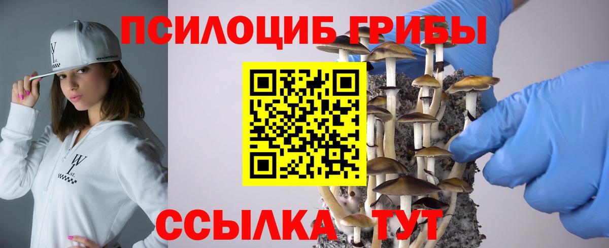 даркнет сайт  Галлюциногенные грибы мицелий  Бийск  Галлюциногенные грибы прущие грибы 